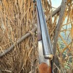 Lov šakalů 2025 (4)