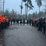 Driven hunt in South Bohemian near Trhove Sviny