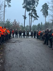 Driven hunt in South Bohemian 1