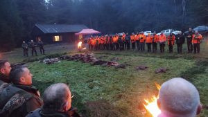 Driven hunt in South Bohemian 0