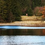 Hunting area Stará Huť, Czech Republic