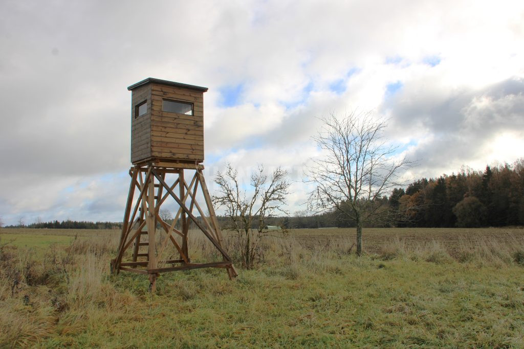 Hunting permit for trophy game in the Vysočina Region 2026/2027