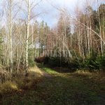 Hunting area Stará Huť, Czech republic