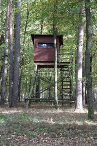 Hunting permit Eastern Moravian 2026/2027 3