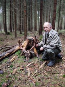 Fallow buck hunt in the Czech Republic Vysocina region 2026/2027 0