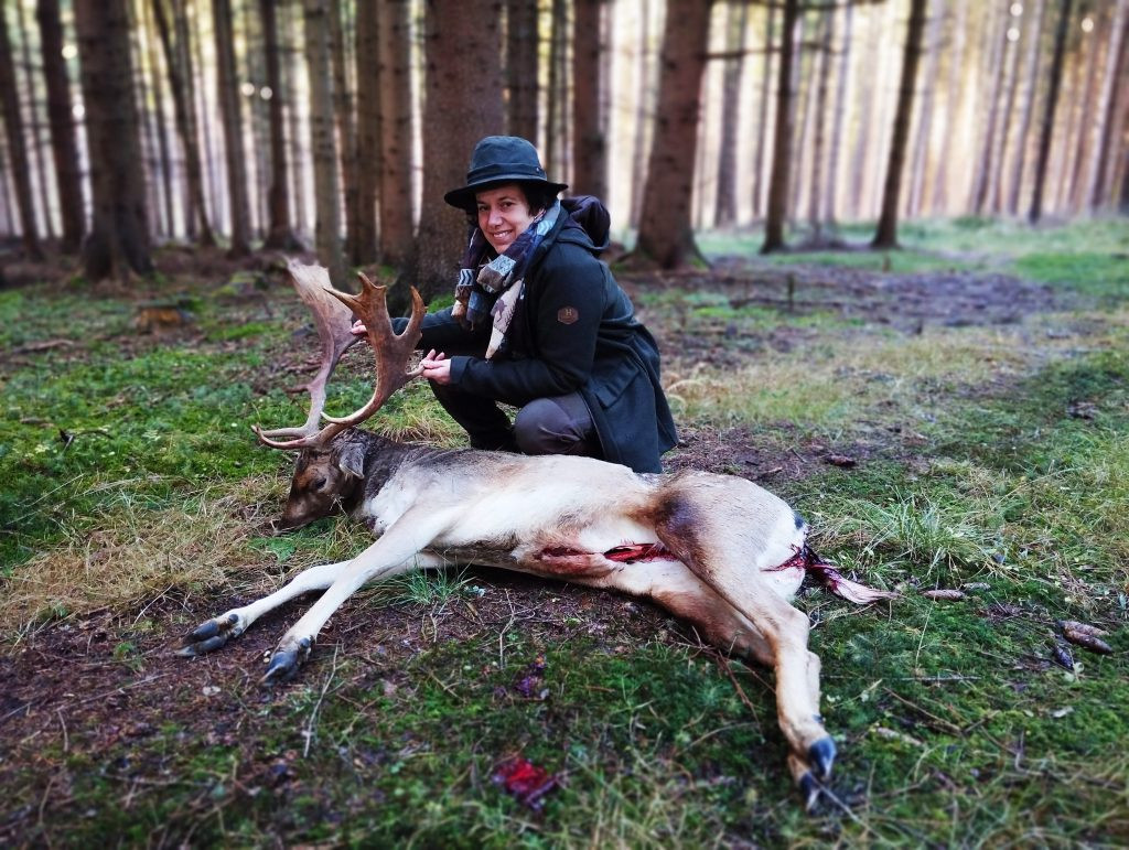 Fallow buck hunt in the Czech Republic Vysocina region 2026/2027