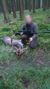 Fallow buck hunt in the Czech Republic Vysocina region 2026/2027 2