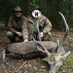 Sika Dybowski deer hunting in the Jitro game preserve ✅ Gold medal 400+ CIC ✅ Hunting in South Bohemia ✅