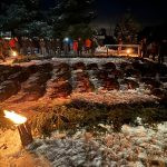 Driven hunt Buchlovské forests 2023 (2)