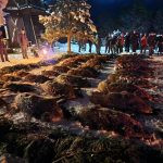 Driven hunt Buchlovské forests 2023 (4)