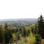 Hunting area Markvarec in the Czech Republic