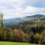 Hunting area Girova in Beskydy Mountains