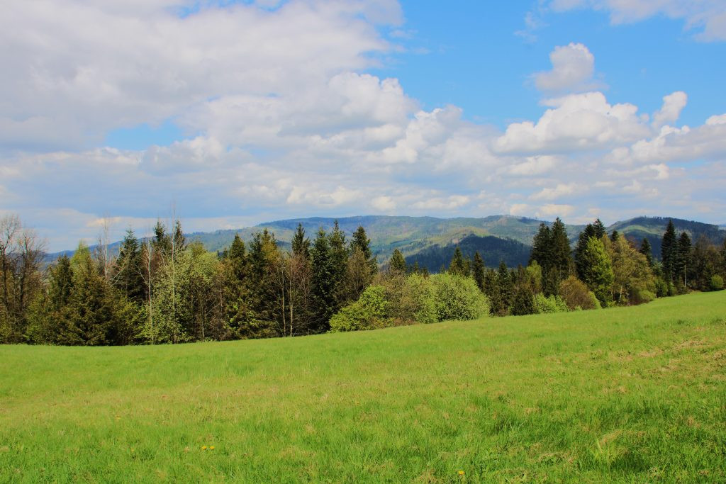 The hunting area Gírová is a mountain hunt in the Easternmost tip of the Czech Republic ✅ Contact point of 3 state borders at Trojmezí ✅ Free-range deer hunting