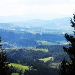 Hunting area Girova in Beskydy Mountains