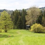 Hunting area Girova in Beskydy Mountains