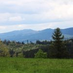 Hunting area Girova in Beskydy Mountains