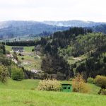 Hunting free area for the red stags Gírová in the Czech Republic