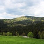 Hunting free area for the red stags Gírová in the Czech Republic