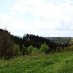 Hunting area Girova in Beskydy Mountains