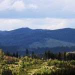 Hunting area Girova in Beskydy Mountains