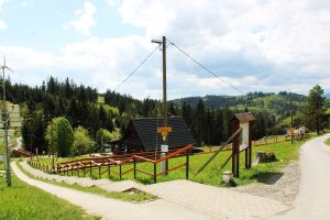 Wild boar hunt in the Czech Republic in the Beskydy mountains 1