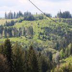 Hunting free area for the red stags Gírová in the Czech Republic