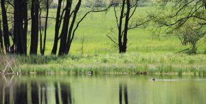 Hunting permit in the Czech Republic, hunting ground Bonětice 3