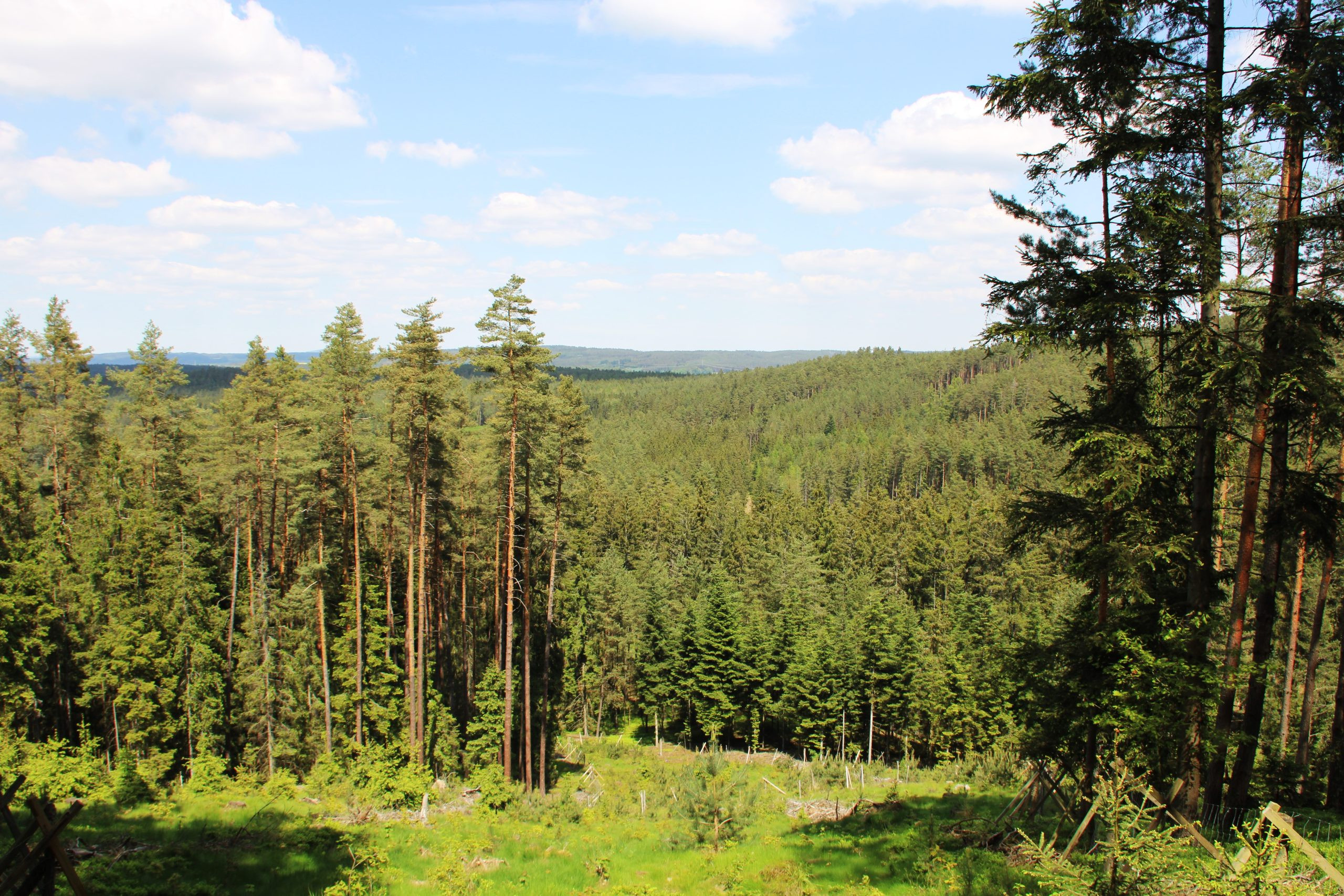 Hunting permit in the Czech Republic, hunting ground Bonětice