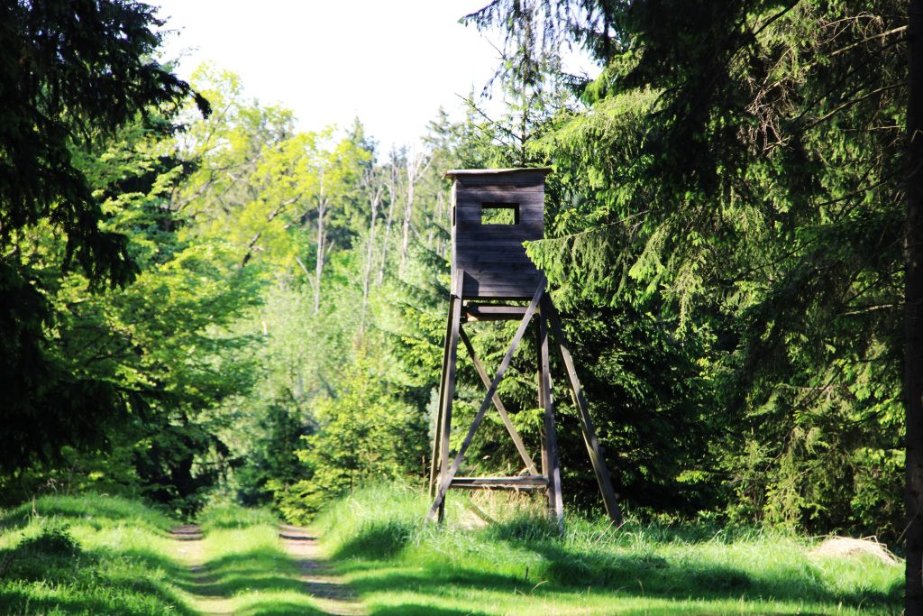 Hunting permit in the Czech Republic, hunting ground Vytůň