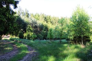 Hunting permit in the Czech Republic, hunting ground Vytůň 3