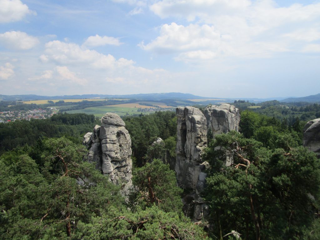 Hunting area Radeč in Český ráj✅ Mouflon hunt in the Czech Republic ✅ Driven hunt to wild boars ✅