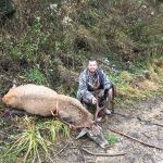 Red stag hunt in the Czech Republic in Beskydy mountain