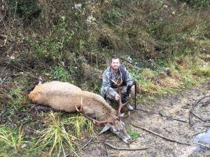 Red stag hunt in the Czech Republic in Beskydy Mountain 2