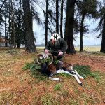 Mouflon hunt in the Czech Republic in Český ráj ✅