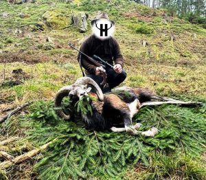 Mouflon hunt in the Czech Republic 2024/2025 1