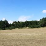 Hunting ground Koloděje