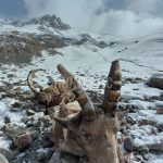 Hunt in Kyrgyzstan