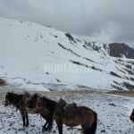 Hunt in Kyrgyzstan