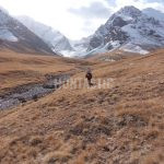 Hunt in Kyrgyzstan
