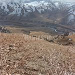 Hunt in Kyrgyzstan