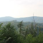 Hunting package in Jeseníky mountains for wild boars and red stags ✅ Red stag hunt ✅ Wild boar hunt ✅ Roe deer hunt