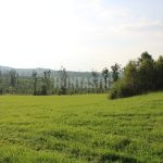 Hunting ground Janov