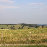 Hunting ground Janov
