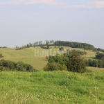 Hunting ground Janov