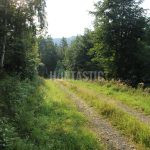 Hunting ground Janov