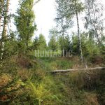 Hunting ground Janov