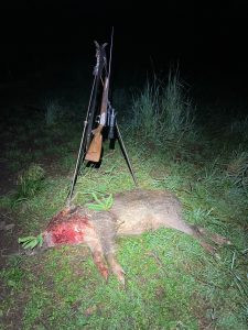 Hunting game in mountains Jeseniky in Czechia 2025/2026 2