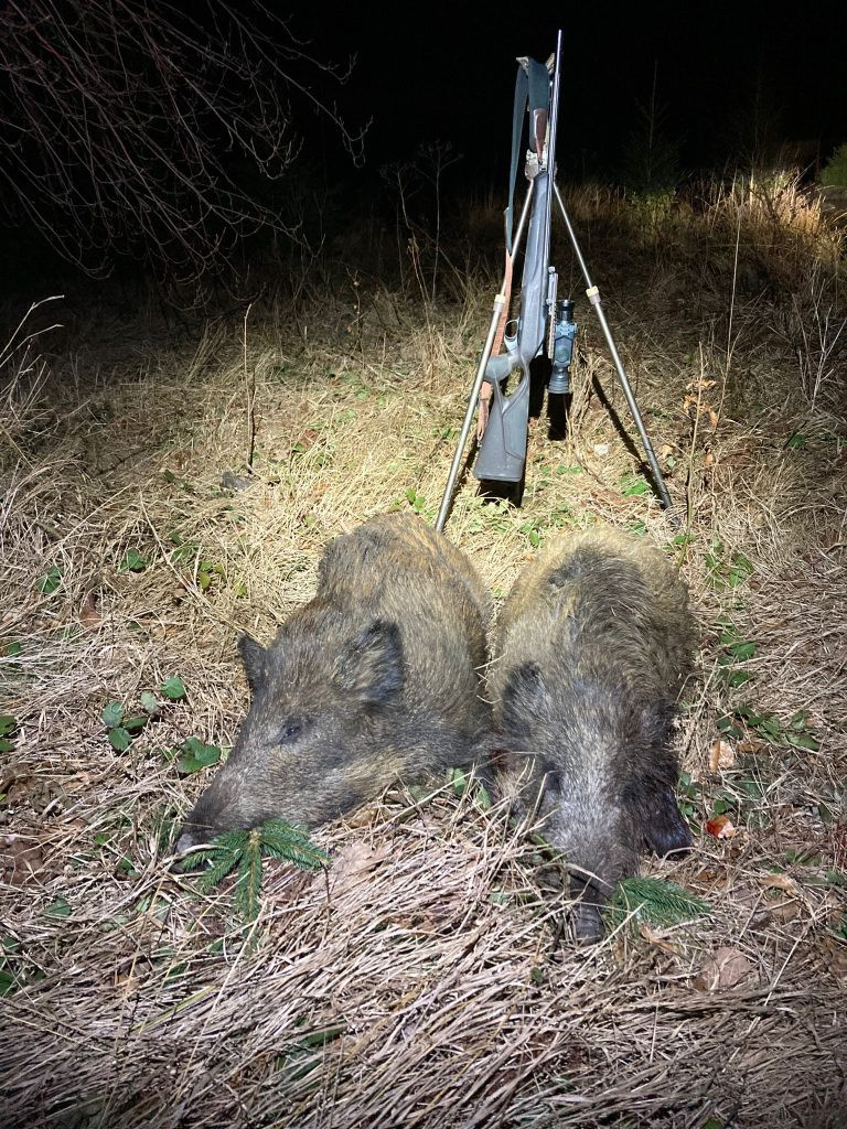 Hunting game in mountains Jeseniky in Czechia 2025/2026