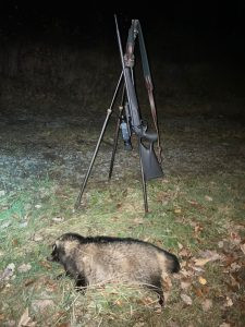 Hunting game in mountains Jeseniky in Czechia 2025/2026 0