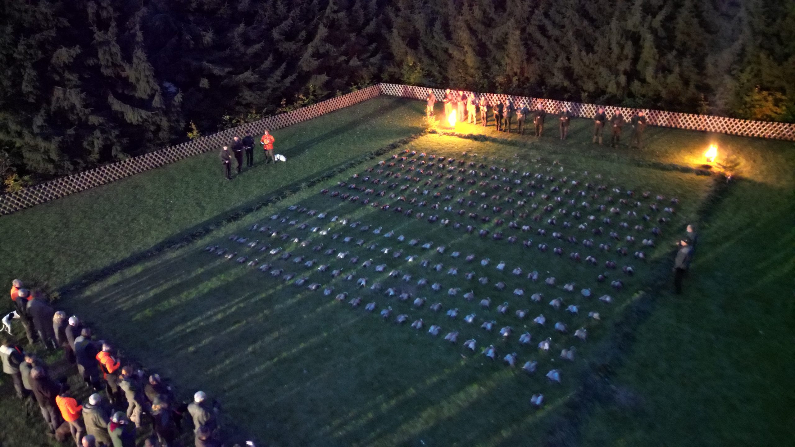 Pheasant hunt in Czechia, pheasantry Hluboka 2025/2026
